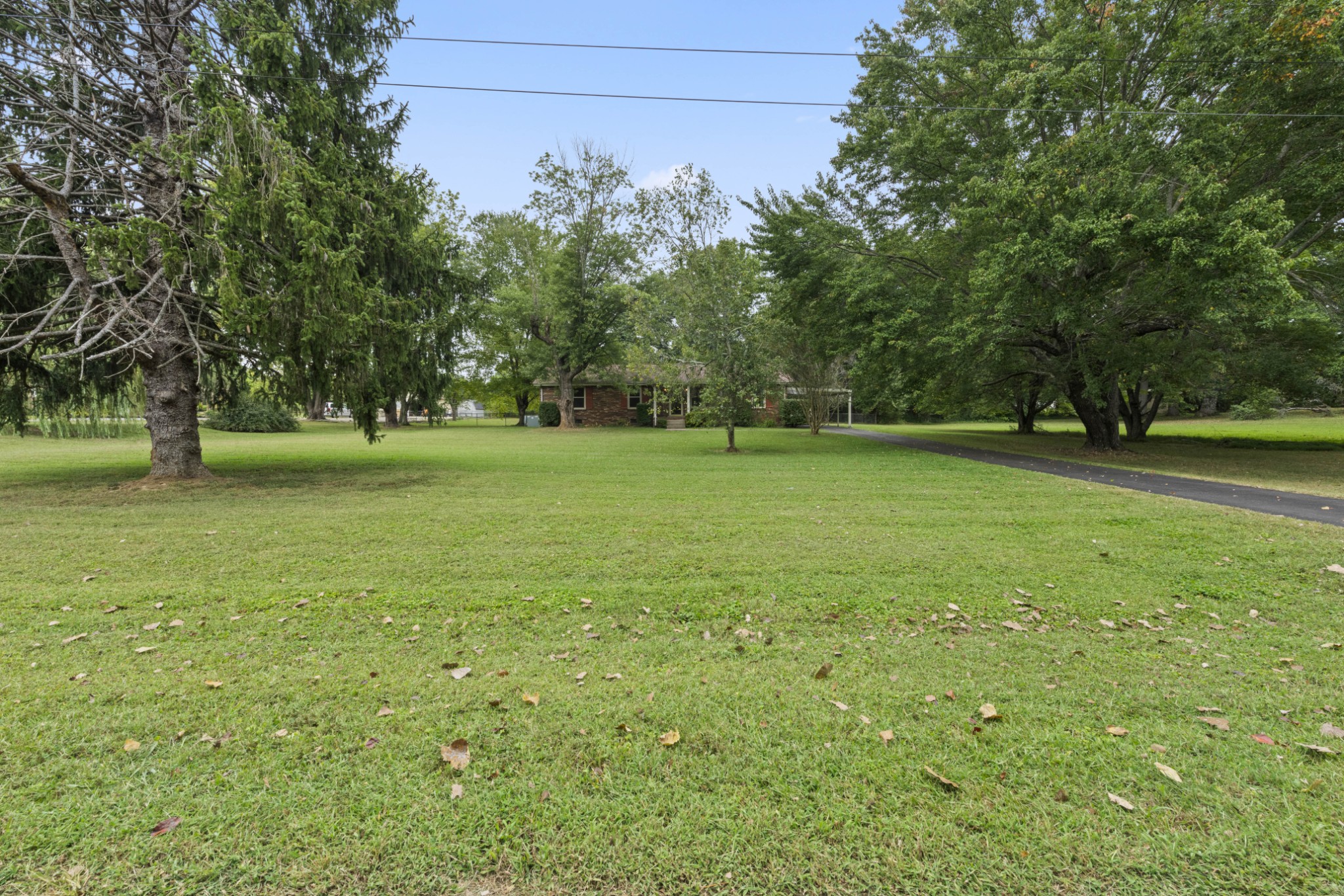 357 Raymond Hodges Road Cottontown, TN 37048 - Photo 3 of 21 a view of a field with a trees in the background