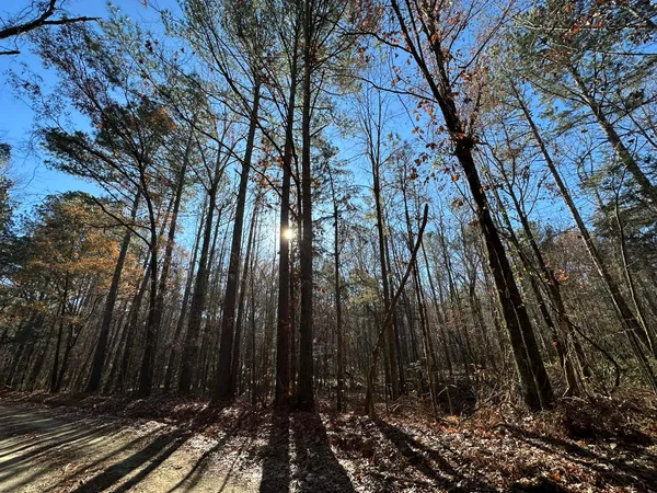 $33,000 | Lot 8 Saggus Road, Washington, GA 30673