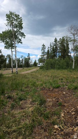 5828 Pineview Road, Unit 922 Kamas, UT 84036 - Photo 5 of 9 Natural landscape featuring diverse trees and open land