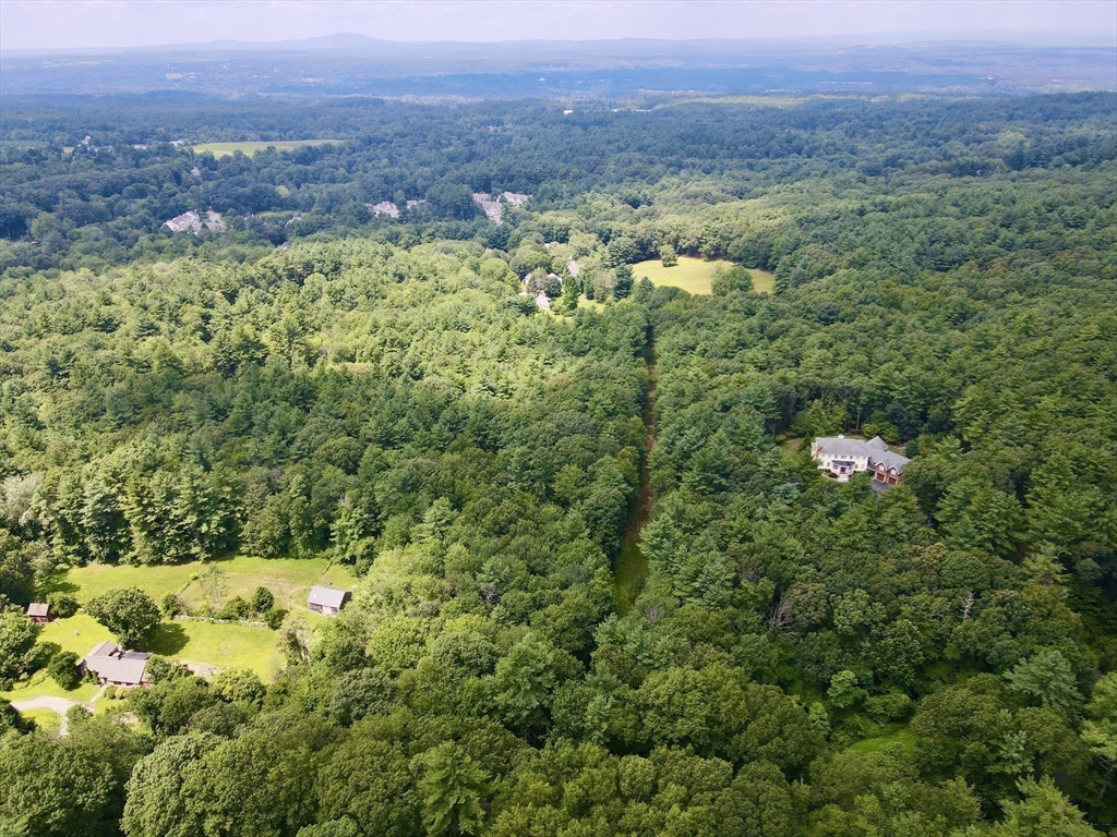90 Harvard Road Bolton, MA 01740 - Photo 5 of 7 a view of a lush green field with trees in the background