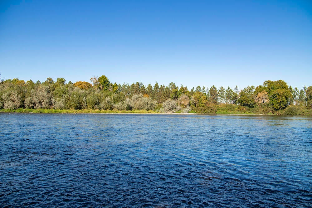 5076 Leonard Road, Unit 105 Grants Pass, OR 97527 - Photo 40 of 50 39