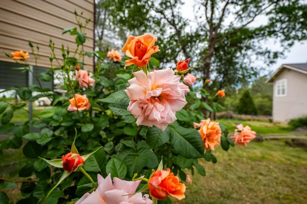 $774,900 | 10360 Oak Canyon Drive, Penn Valley, CA 95946