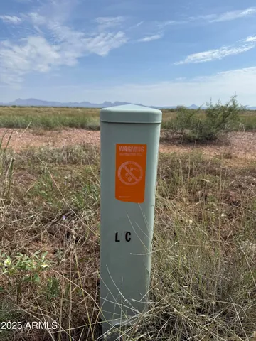 a view of a pathway both side of building