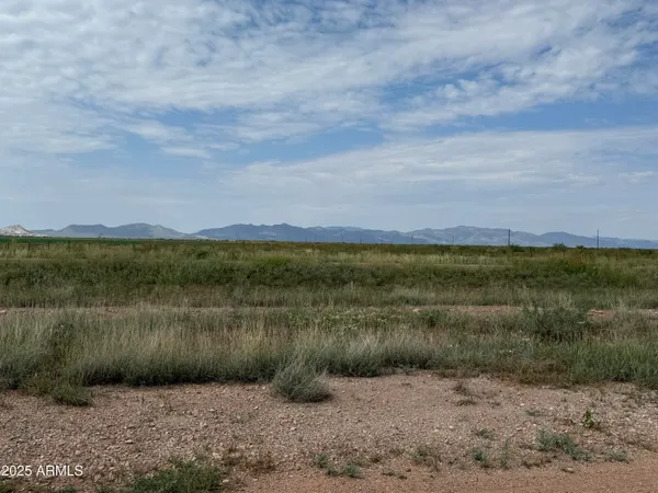 a view of a lake with a yard