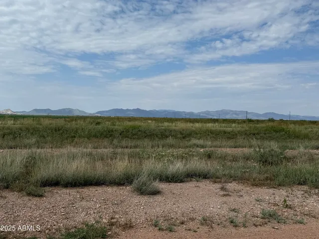 a view of a lake with a yard