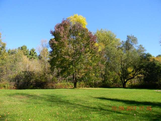 6526 Co Hwy K Rhinelander, WI 54501 - Photo 11 of 20 Gallery Image 11