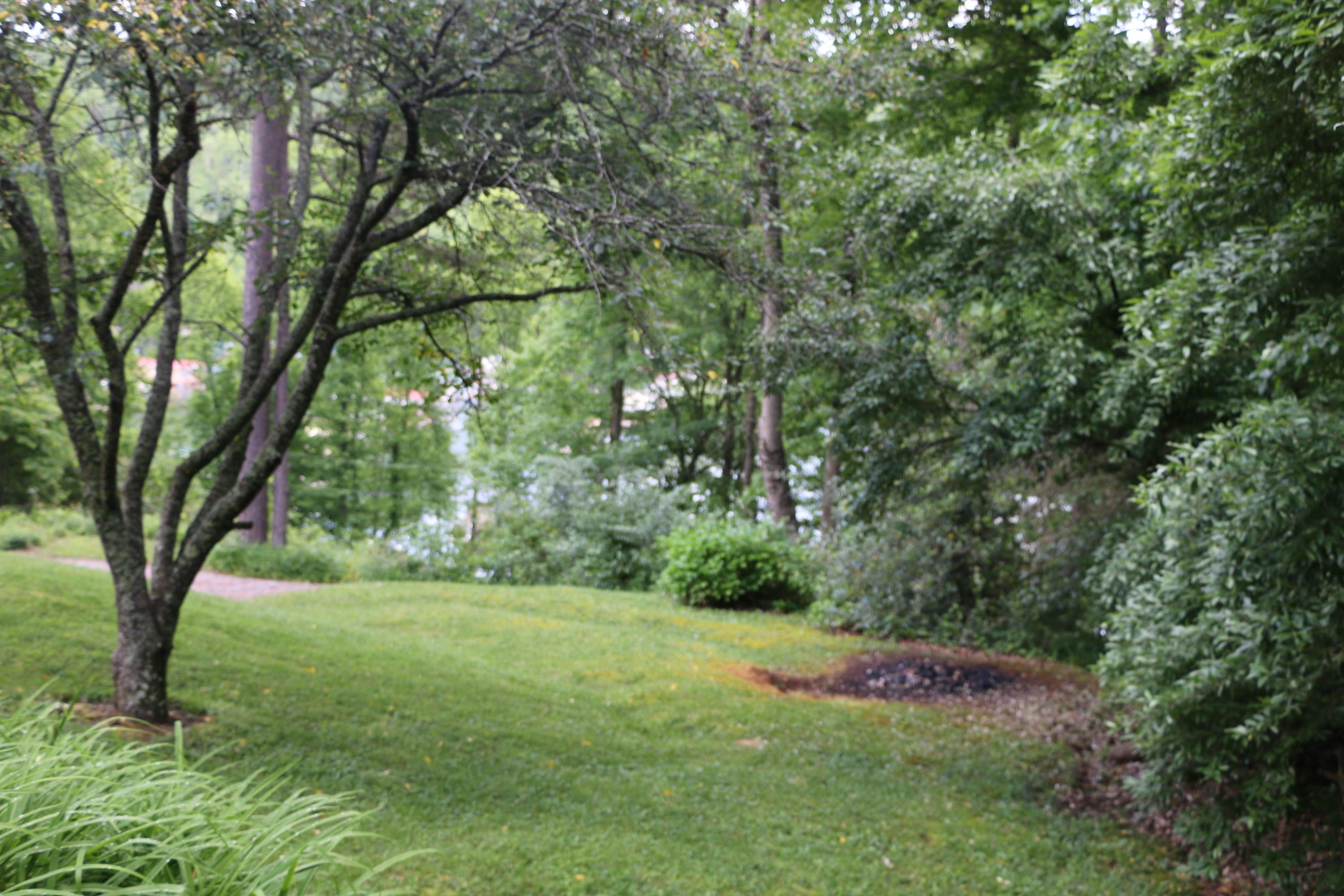 284 Blue Ridge Road Speedwell, TN 37870 - Photo 20 of 40 20