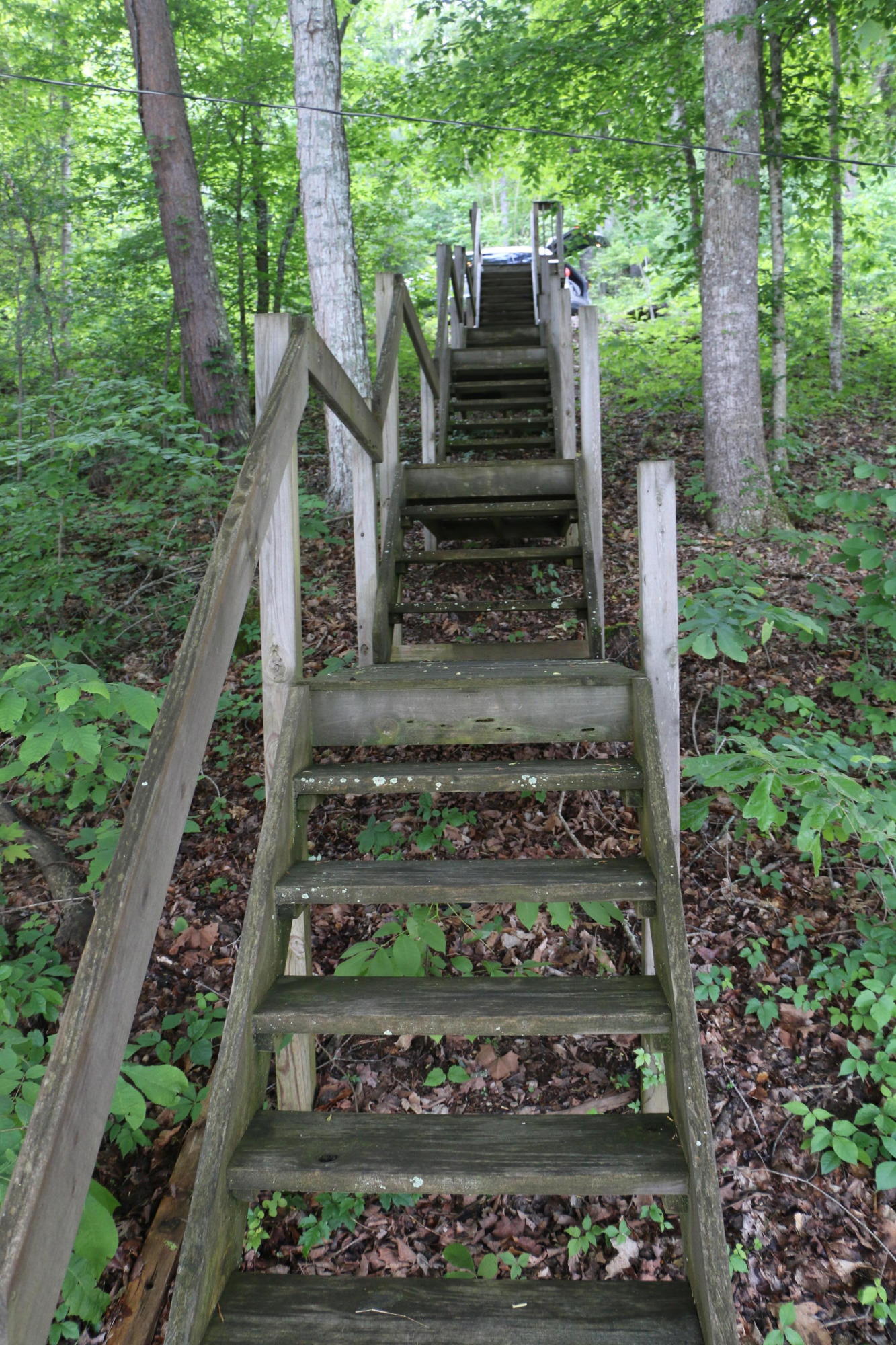 284 Blue Ridge Road Speedwell, TN 37870 - Photo 31 of 40 31