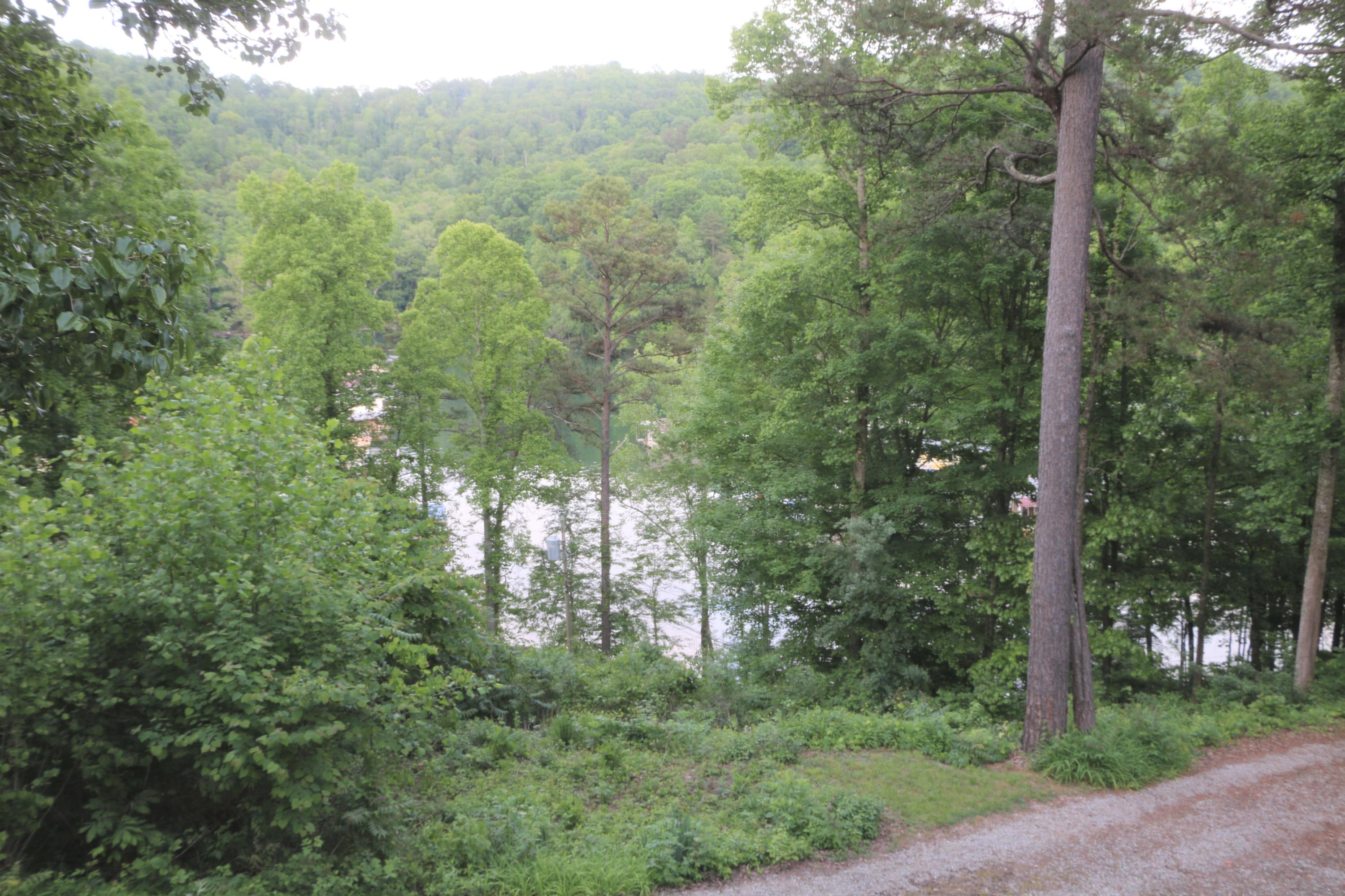 284 Blue Ridge Road Speedwell, TN 37870 - Photo 7 of 40 7