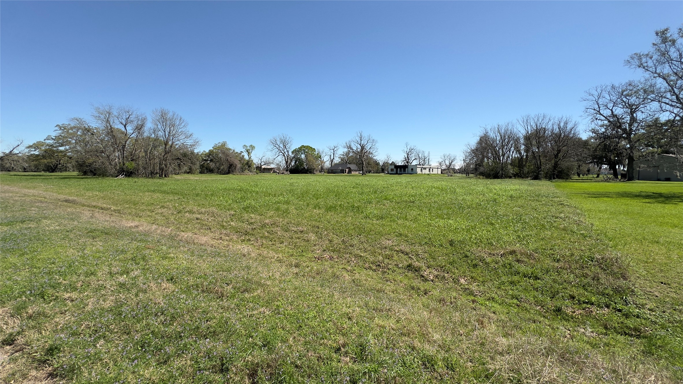 a view of a field with trees in the background