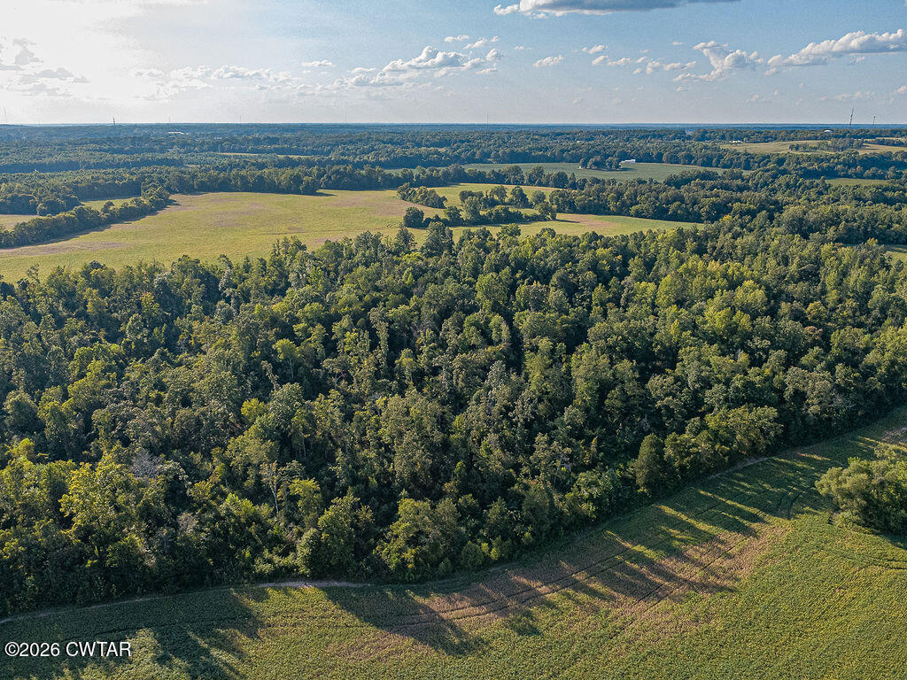 DJI_0634