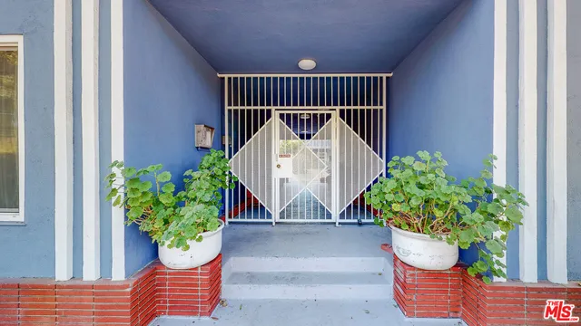 a view of potted plant and more windows