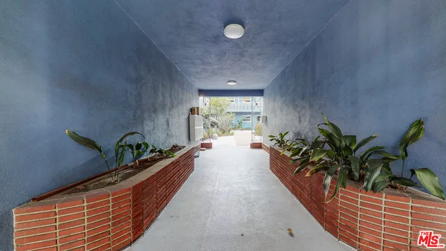 a hallway with a potted plant on the outside