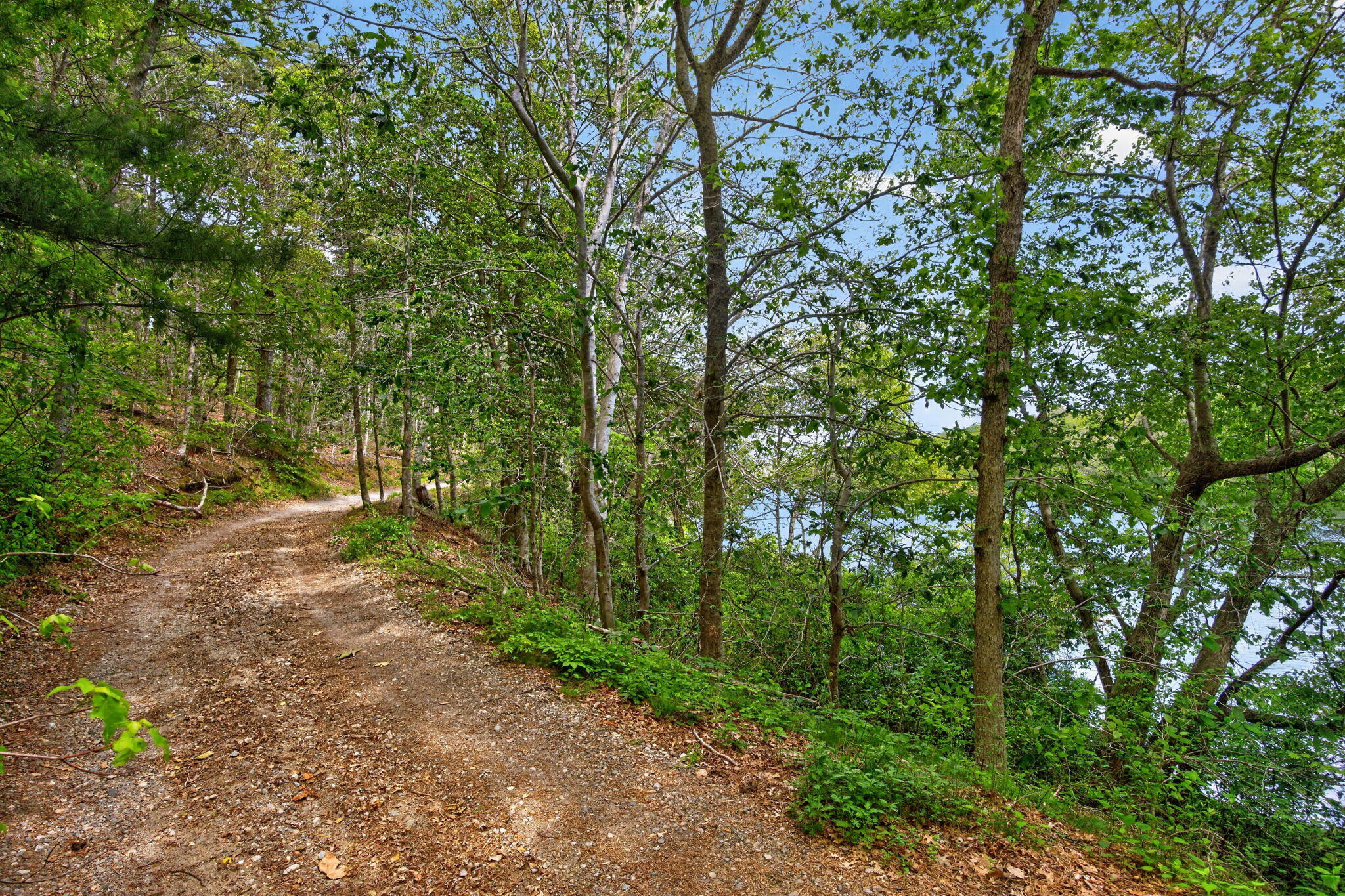 20 Hirsch Road Forestdale, MA 02644 - Photo 17 of 27 23-PF0A2473