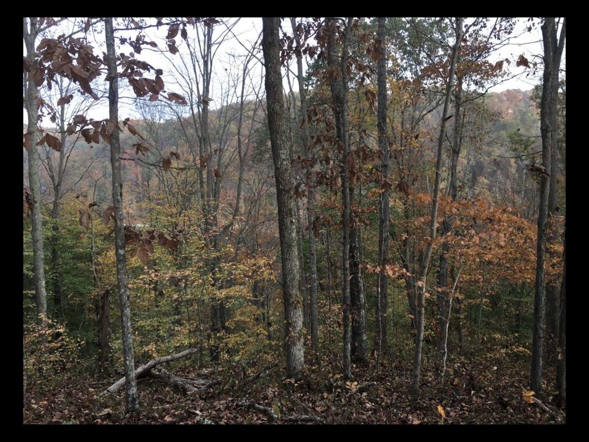 0 Rt 152 Wayne, WV 25570 - Photo 10 of 12 Gallery Image 10