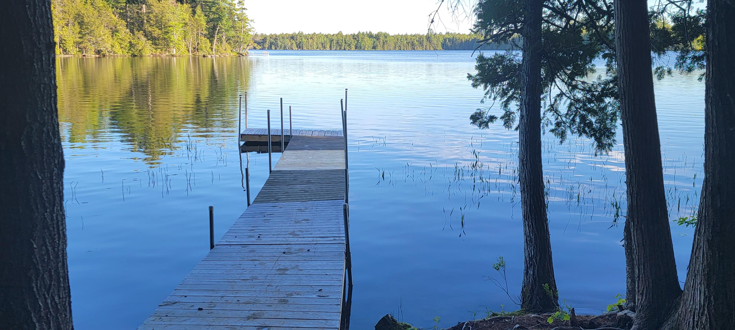 Lot 12 Little Stream Road Lincoln, ME 04457 - Photo 16 of 36 20220606_181553