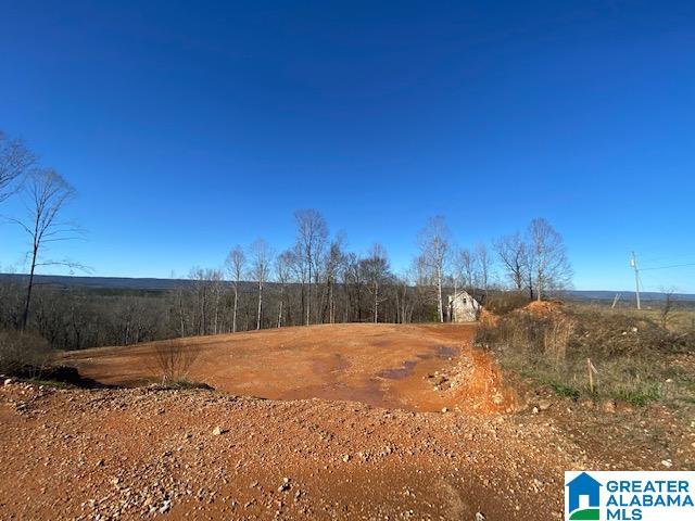 414 Stone Ridge, Unit 5 AND 6 Springville, AL 35146 - Photo 14 of 20