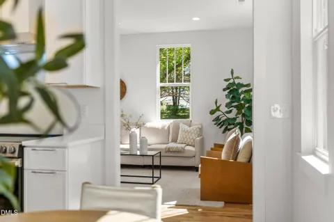 a living room with furniture and a potted plant