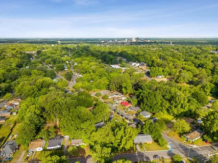 a view of a bunch of trees