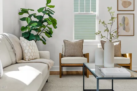 a living room with furniture a plant and a window