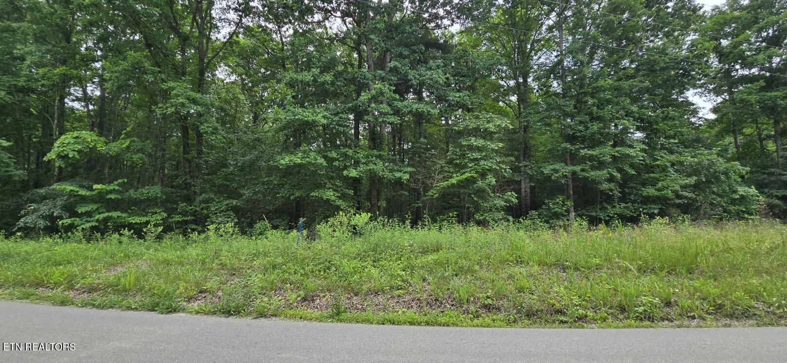 Lot 48-49 Bear Creek Road Oneida, TN 37841 - Photo 1 of 16 20260612_143343