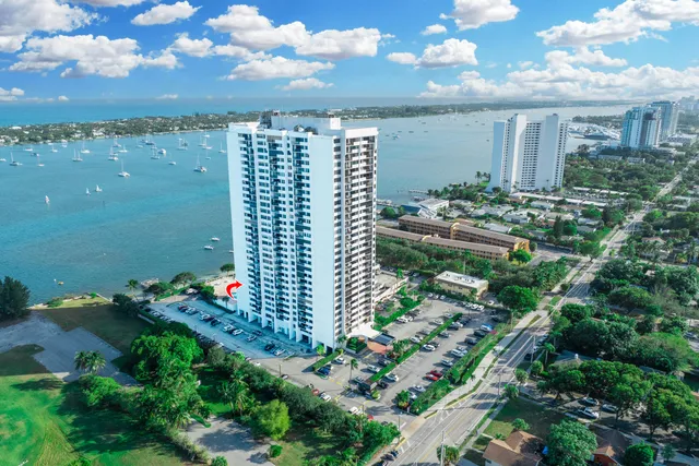 a view of a city with flower plants