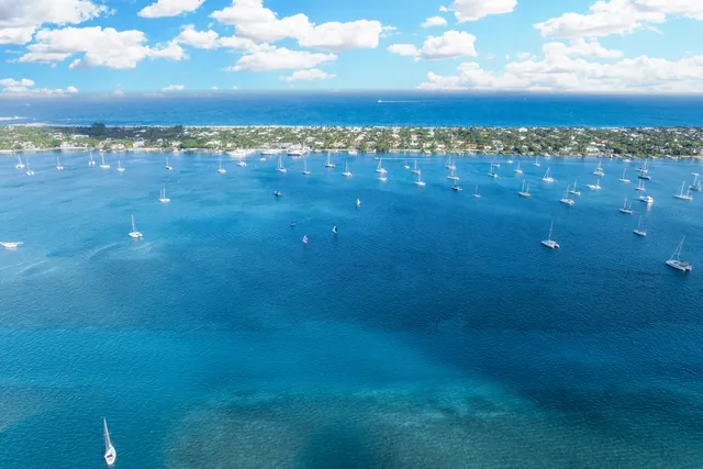 a view of a big yard