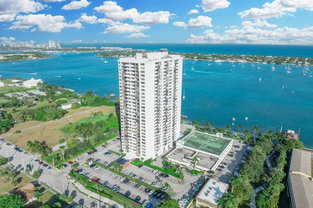a view of a garden with a lot of flower plants