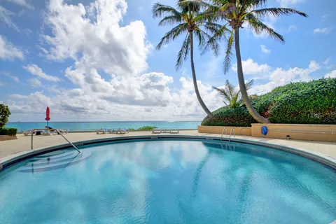 a view of a swimming pool and trees in the background