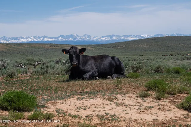 $9,950,000 | 627 Ryegrass Road, Daniel, WY 83115