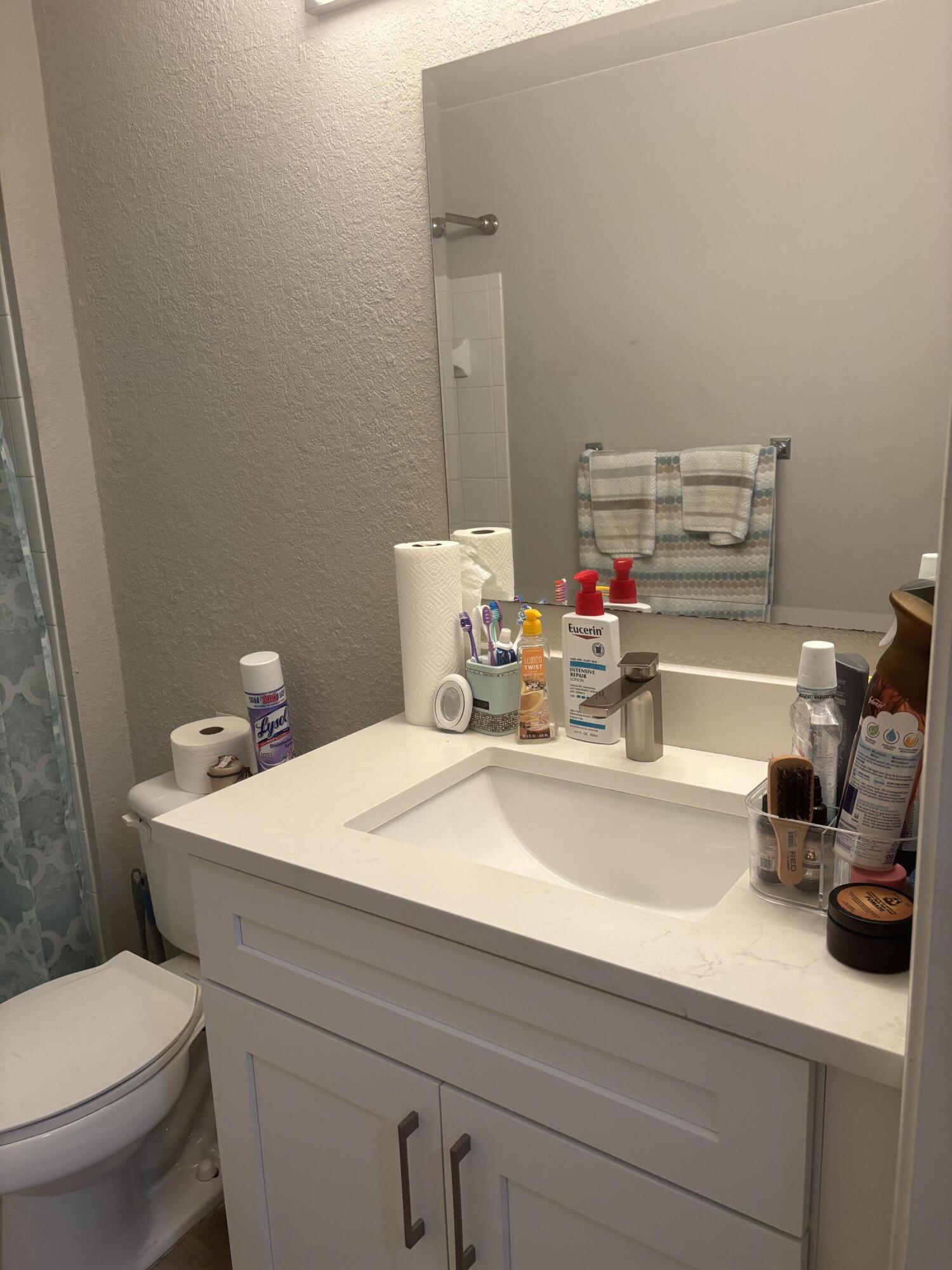350 Crestwood Circle, Unit 106 Royal Palm Beach, FL 33411 - Photo 21 of 28 a bathroom with a sink a toilet and a mirror