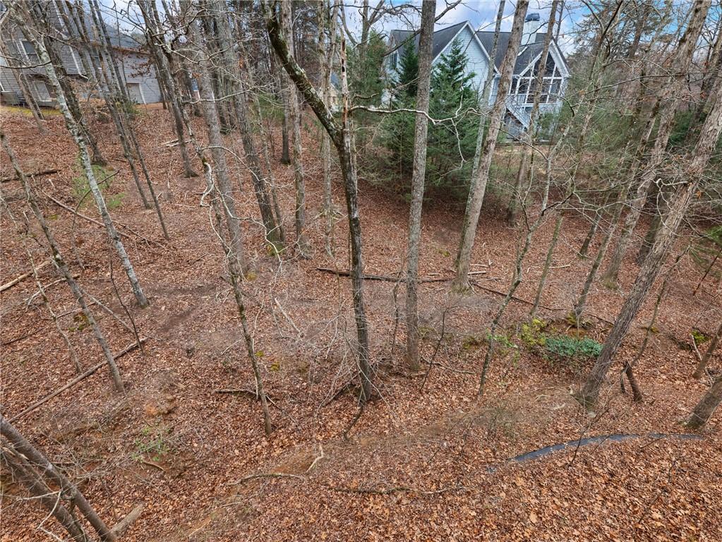 6053 Rockingham Way Gainesville, GA 30506 - Photo 53 of 67