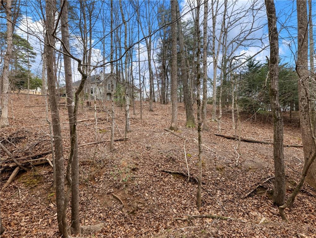 6053 Rockingham Way Gainesville, GA 30506 - Photo 54 of 67