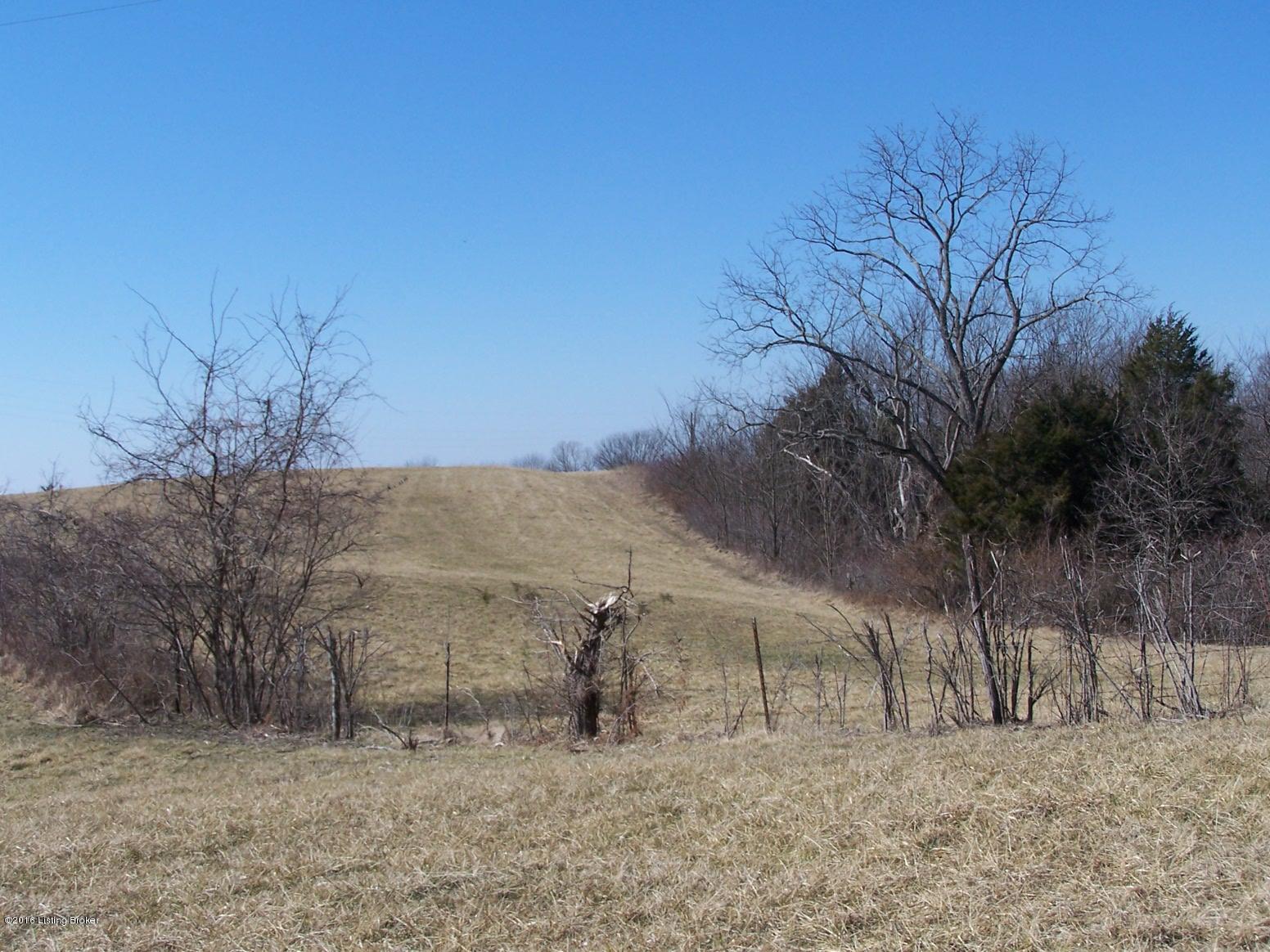 0 Dripping Springs Road Carrollton, KY 41008 - Photo 4 of 41 February 2016 036