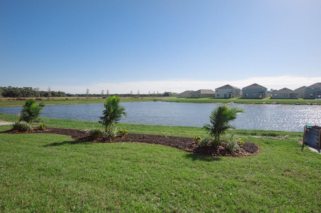 15543 Trinity Fall Way Bradenton, FL 34212 - Photo 2 of 21