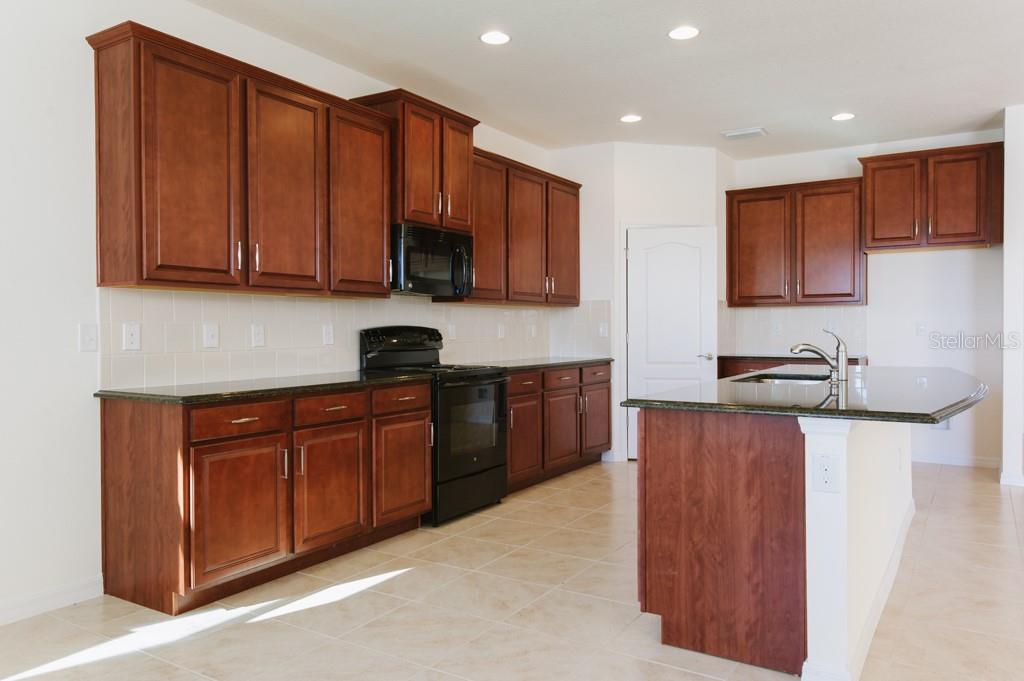 15543 Trinity Fall Way Bradenton, FL 34212 - Photo 6 of 21