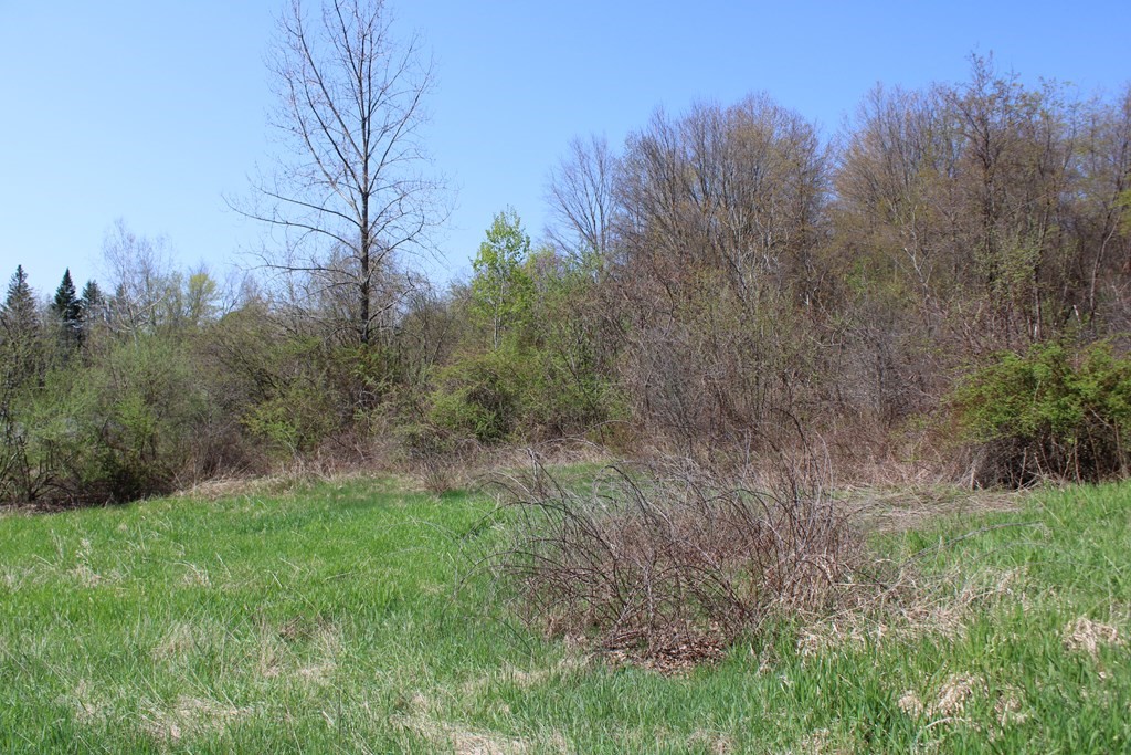 25 Old State Road Erving, MA 01344 - Photo 11 of 13 Gallery Image 11