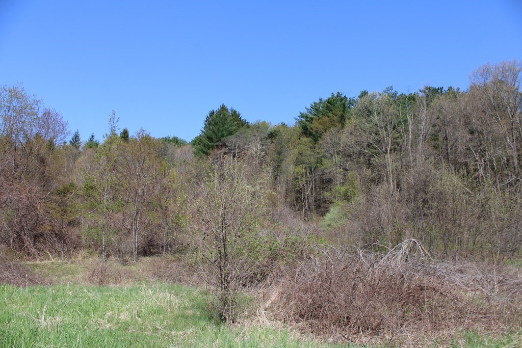 25 Old State Road Erving, MA 01344 - Photo 13 of 13 Gallery Image 13