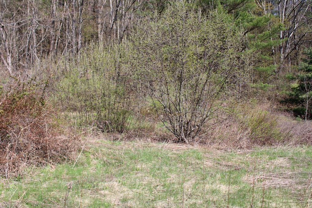 25 Old State Road Erving, MA 01344 - Photo 8 of 13 Gallery Image 8