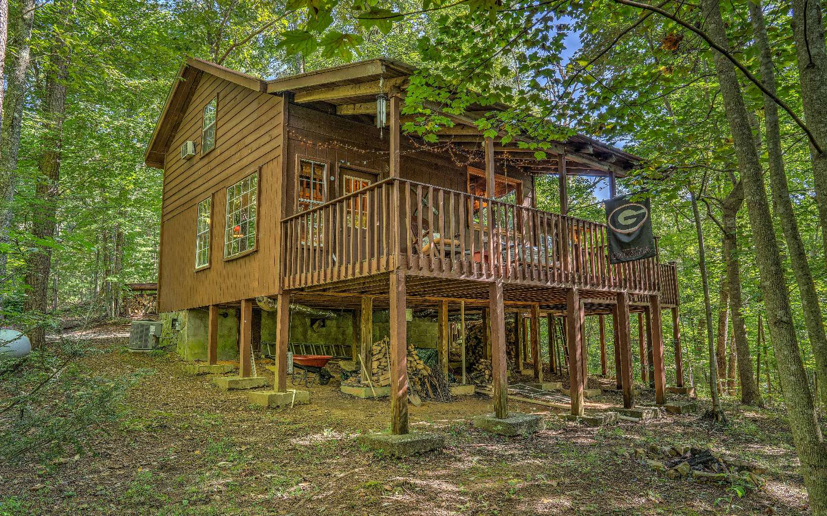 166 Nantahala Pass Road Blue Ridge, GA 30513 - Photo 4 of 40 front view of a house with a yard