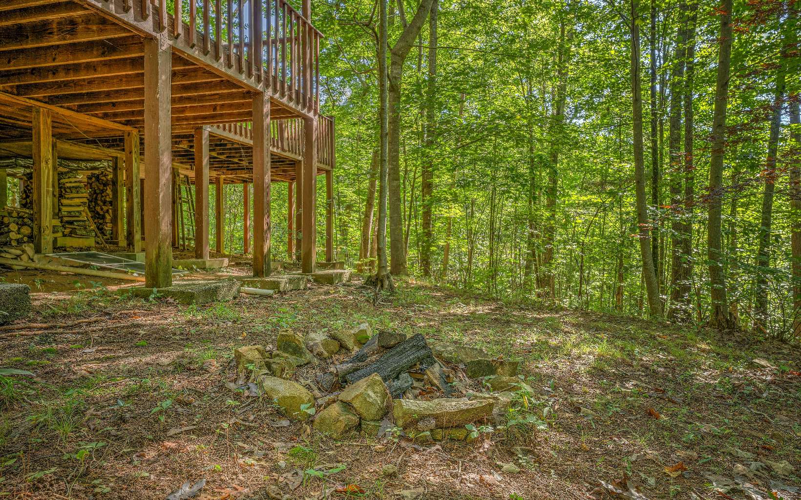 166 Nantahala Pass Road Blue Ridge, GA 30513 - Photo 6 of 40