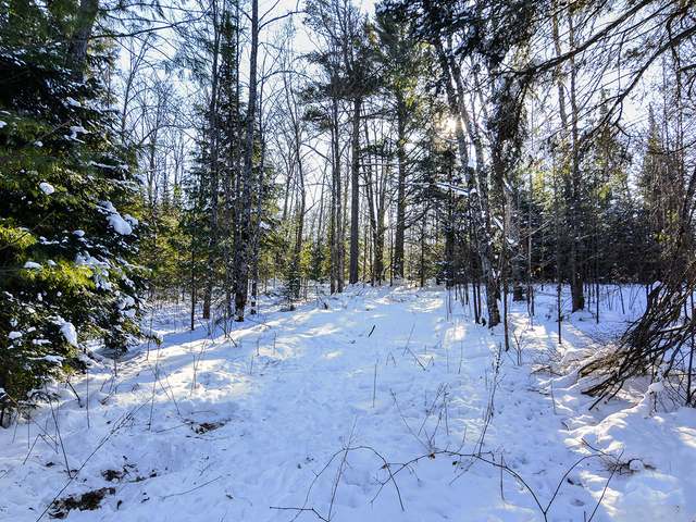 Lot 2 Coveyville Road Phelps, WI 54554 - Photo 6 of 13 Gallery Image 6