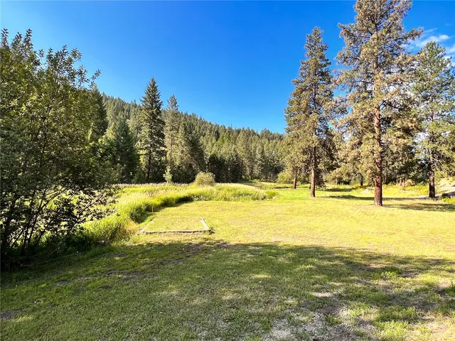a view of yard with large trees