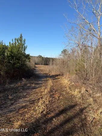 $99,000 | 5547 Rocky Point Road, Carthage, MS 39051