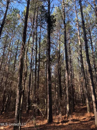 $99,000 | 5547 Rocky Point Road, Carthage, MS 39051