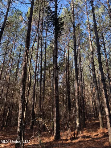 $99,000 | 5547 Rocky Point Road, Carthage, MS 39051