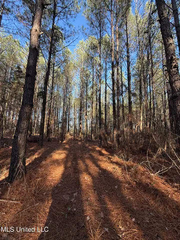 $99,000 | 5547 Rocky Point Road, Carthage, MS 39051