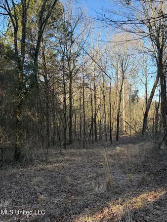 $99,000 | 5547 Rocky Point Road, Carthage, MS 39051