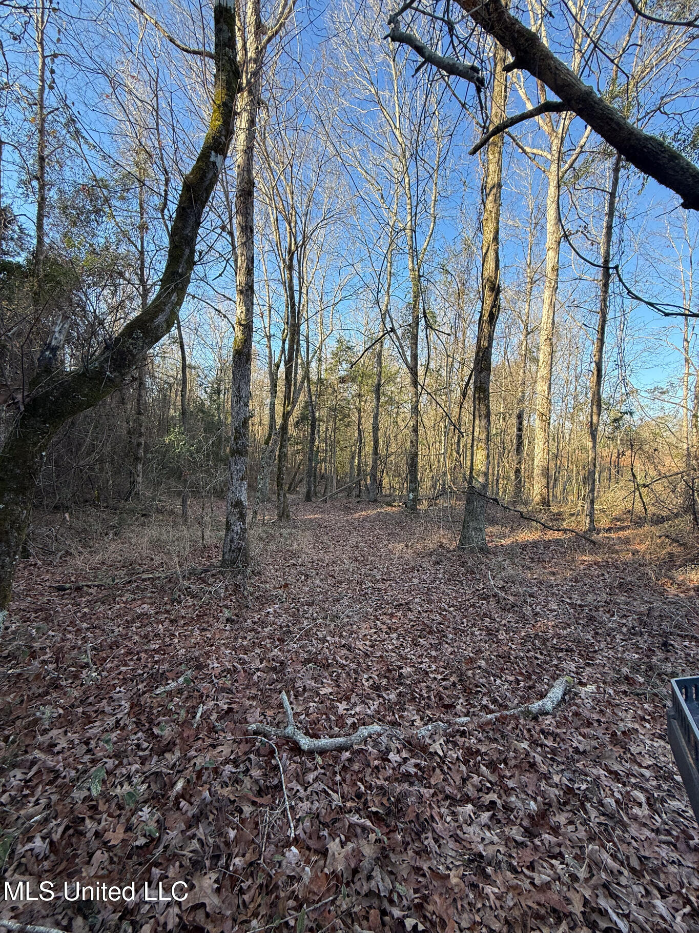 5547 Rocky Point Road Carthage, MS 39051 - Photo 16 of 27 Leake 40 resized-18 - Copy