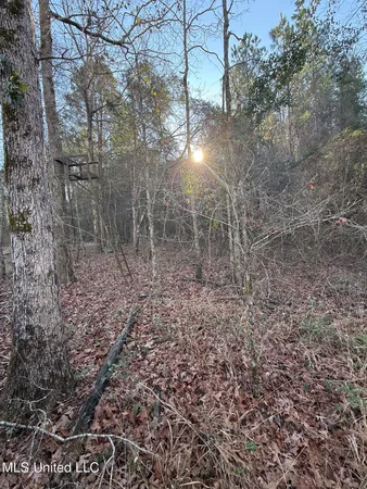 $99,000 | 5547 Rocky Point Road, Carthage, MS 39051